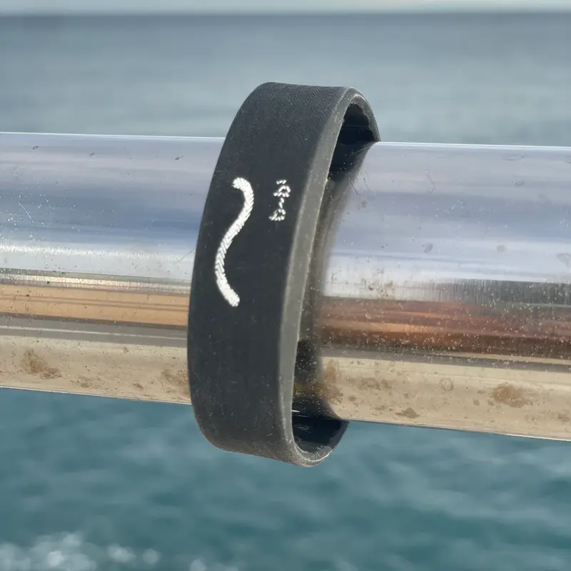 A grey silicone band carrying a white wave mark, resting on a railing above the sea.
