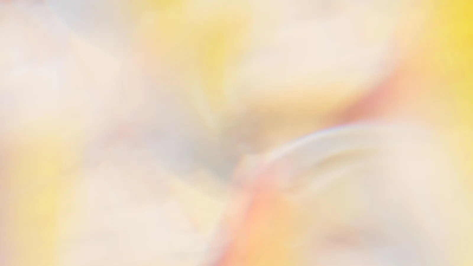 A soft-focus abstract photograph in pale cream and yellow, with a warm coral streak curving through the center and blurred forms sweeping across the frame.